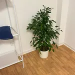 Schoenes In Oldenburg-osternburg דירה *
