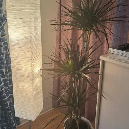 Apartment Schoenes In Oldenburg-osternburg Oldenburg