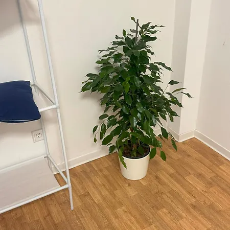 Schoenes In Oldenburg-osternburg Apartment *